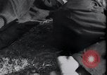 Image of life before and after World War 2 Berlin Germany, 1945, second 12 stock footage video 65675029068