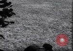 Image of life before and after World War 2 Berlin Germany, 1945, second 37 stock footage video 65675029068