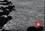 Image of life before and after World War 2 Berlin Germany, 1945, second 38 stock footage video 65675029068