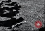 Image of life before and after World War 2 Berlin Germany, 1945, second 39 stock footage video 65675029068
