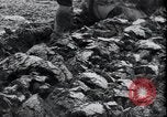 Image of life before and after World War 2 Berlin Germany, 1945, second 57 stock footage video 65675029068