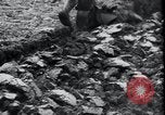 Image of life before and after World War 2 Berlin Germany, 1945, second 58 stock footage video 65675029068