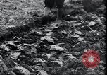 Image of life before and after World War 2 Berlin Germany, 1945, second 59 stock footage video 65675029068