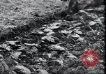 Image of life before and after World War 2 Berlin Germany, 1945, second 60 stock footage video 65675029068