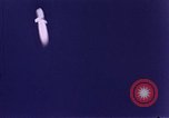 Image of German V2-Rocket New Mexico United States USA, 1946, second 25 stock footage video 65675029070