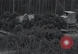 Standbild Bulldozer Osterode Deutschland, 1945, aus Sekunde 47 historischem Filmmaterial Videoclip 65675029074