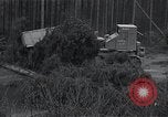 Standbild Bulldozer Osterode Deutschland, 1945, aus Sekunde 49 historischem Filmmaterial Videoclip 65675029074