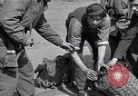 Image of United States Military Police Nordhausen Germany, 1945, second 21 stock footage video 65675029077