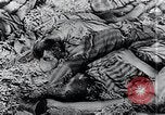 Image of Nazi concentration camp Nordhausen Germany, 1945, second 39 stock footage video 65675029083