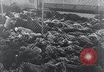 Image of Nazi concentration camp Nordhausen Germany, 1945, second 49 stock footage video 65675029083