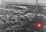 Image of Nazi concentration camp Nordhausen Germany, 1945, second 51 stock footage video 65675029083