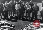 Standbild Leichen gestapelt Mauthausen Österreich, 1945, aus Sekunde 14 historischem Filmmaterial Videoclip 65675029085