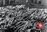 Standbild Leichen gestapelt Mauthausen Österreich, 1945, aus Sekunde 20 historischem Filmmaterial Videoclip 65675029085