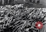 Standbild Leichen gestapelt Mauthausen Österreich, 1945, aus Sekunde 21 historischem Filmmaterial Videoclip 65675029085