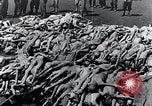 Standbild Leichen gestapelt Mauthausen Österreich, 1945, aus Sekunde 23 historischem Filmmaterial Videoclip 65675029085