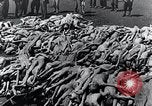 Standbild Leichen gestapelt Mauthausen Österreich, 1945, aus Sekunde 24 historischem Filmmaterial Videoclip 65675029085