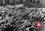 Standbild Leichen gestapelt Mauthausen Österreich, 1945, aus Sekunde 29 historischem Filmmaterial Videoclip 65675029085
