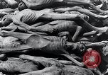Standbild Leichen gestapelt Mauthausen Österreich, 1945, aus Sekunde 44 historischem Filmmaterial Videoclip 65675029085