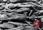 Standbild Leichen gestapelt Mauthausen Österreich, 1945, aus Sekunde 45 historischem Filmmaterial Videoclip 65675029085