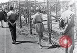Standbild Leichen gestapelt Mauthausen Österreich, 1945, aus Sekunde 48 historischem Filmmaterial Videoclip 65675029085
