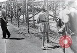 Standbild Leichen gestapelt Mauthausen Österreich, 1945, aus Sekunde 49 historischem Filmmaterial Videoclip 65675029085