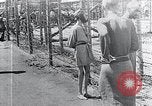 Standbild Leichen gestapelt Mauthausen Österreich, 1945, aus Sekunde 50 historischem Filmmaterial Videoclip 65675029085