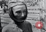 Standbild Leichen gestapelt Mauthausen Österreich, 1945, aus Sekunde 54 historischem Filmmaterial Videoclip 65675029085