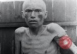 Image 'entasse cadavres Mauthausen Autriche, 1945, de la seconde 19 séquences d'archives historiques vidéo 65675029086