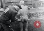 Image 'entasse cadavres Mauthausen Autriche, 1945, de la seconde 27 séquences d'archives historiques vidéo 65675029086