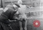 Image 'entasse cadavres Mauthausen Autriche, 1945, de la seconde 28 séquences d'archives historiques vidéo 65675029086