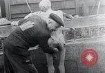 Image 'entasse cadavres Mauthausen Autriche, 1945, de la seconde 29 séquences d'archives historiques vidéo 65675029086