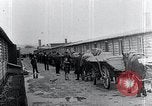 Image 'entasse cadavres Mauthausen Autriche, 1945, de la seconde 31 séquences d'archives historiques vidéo 65675029086