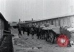 Image 'entasse cadavres Mauthausen Autriche, 1945, de la seconde 33 séquences d'archives historiques vidéo 65675029086