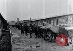 Image 'entasse cadavres Mauthausen Autriche, 1945, de la seconde 35 séquences d'archives historiques vidéo 65675029086