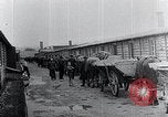 Image 'entasse cadavres Mauthausen Autriche, 1945, de la seconde 36 séquences d'archives historiques vidéo 65675029086