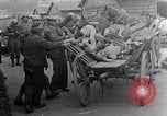 Image 'entasse cadavres Mauthausen Autriche, 1945, de la seconde 51 séquences d'archives historiques vidéo 65675029086