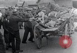 Image 'entasse cadavres Mauthausen Autriche, 1945, de la seconde 52 séquences d'archives historiques vidéo 65675029086
