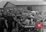 Image 'entasse cadavres Mauthausen Autriche, 1945, de la seconde 56 séquences d'archives historiques vidéo 65675029086