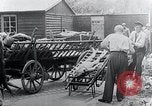 Image Camp de concentration victimes Mauthausen Autriche, 1945, de la seconde 4 séquences d'archives historiques vidéo 65675029087