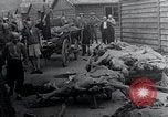 Image Camp de concentration victimes Mauthausen Autriche, 1945, de la seconde 10 séquences d'archives historiques vidéo 65675029087