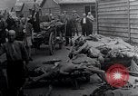 Image Camp de concentration victimes Mauthausen Autriche, 1945, de la seconde 12 séquences d'archives historiques vidéo 65675029087
