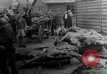 Image Camp de concentration victimes Mauthausen Autriche, 1945, de la seconde 14 séquences d'archives historiques vidéo 65675029087