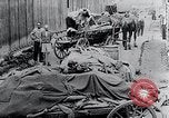Image Camp de concentration victimes Mauthausen Autriche, 1945, de la seconde 15 séquences d'archives historiques vidéo 65675029087
