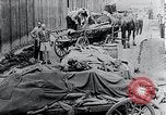 Image Camp de concentration victimes Mauthausen Autriche, 1945, de la seconde 16 séquences d'archives historiques vidéo 65675029087