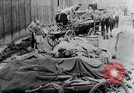 Image Camp de concentration victimes Mauthausen Autriche, 1945, de la seconde 21 séquences d'archives historiques vidéo 65675029087