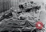 Image Camp de concentration victimes Mauthausen Autriche, 1945, de la seconde 22 séquences d'archives historiques vidéo 65675029087