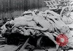 Image Camp de concentration victimes Mauthausen Autriche, 1945, de la seconde 26 séquences d'archives historiques vidéo 65675029087