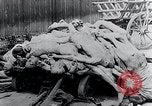 Image Camp de concentration victimes Mauthausen Autriche, 1945, de la seconde 27 séquences d'archives historiques vidéo 65675029087