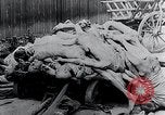 Image Camp de concentration victimes Mauthausen Autriche, 1945, de la seconde 28 séquences d'archives historiques vidéo 65675029087