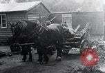 Image Camp de concentration victimes Mauthausen Autriche, 1945, de la seconde 44 séquences d'archives historiques vidéo 65675029087